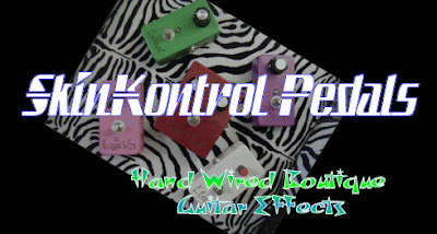 SkinKontrolLogo 1483072905af